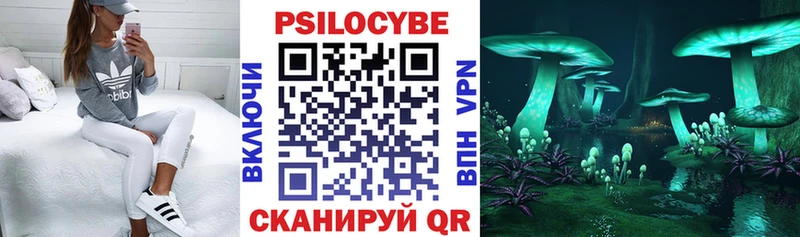 Псилоцибиновые грибы ЛСД  наркошоп  Воскресенск 